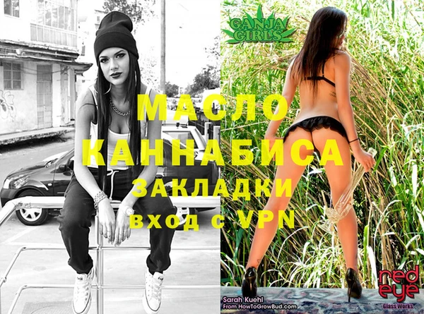 индика Няндома