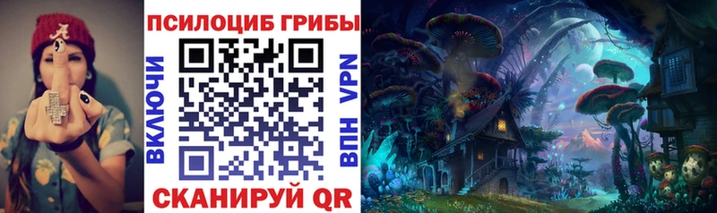 Галлюциногенные грибы GOLDEN TEACHER  сколько стоит  Калач-на-Дону 